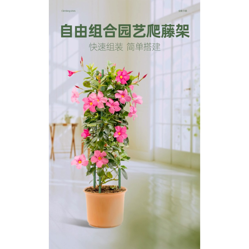 爬藤架園藝花架支架植物攀爬架包塑鋼管室內外月季鐵線蓮葡萄托架-細節圖6
