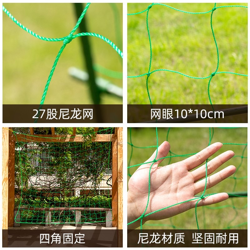 園藝植物爬藤網攀爬種植搭架絲瓜百香果豆角藤蔓花卉網農用葡萄棚-細節圖3