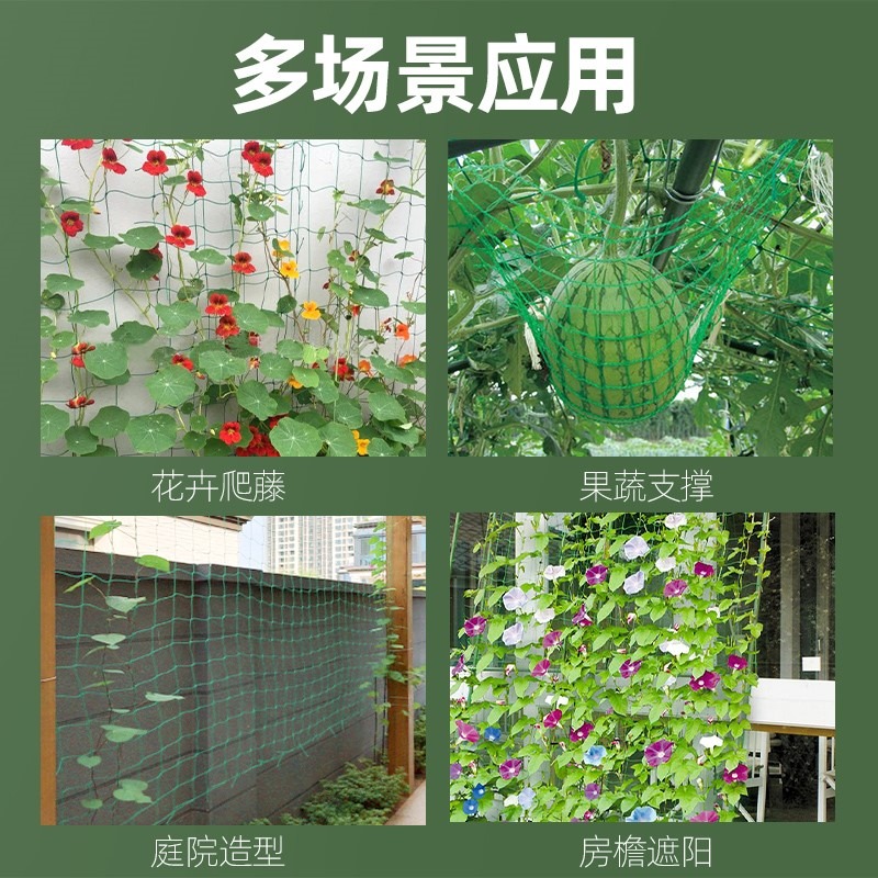 園藝植物爬藤網攀爬種植搭架絲瓜百香果豆角藤蔓花卉網農用葡萄棚-細節圖5