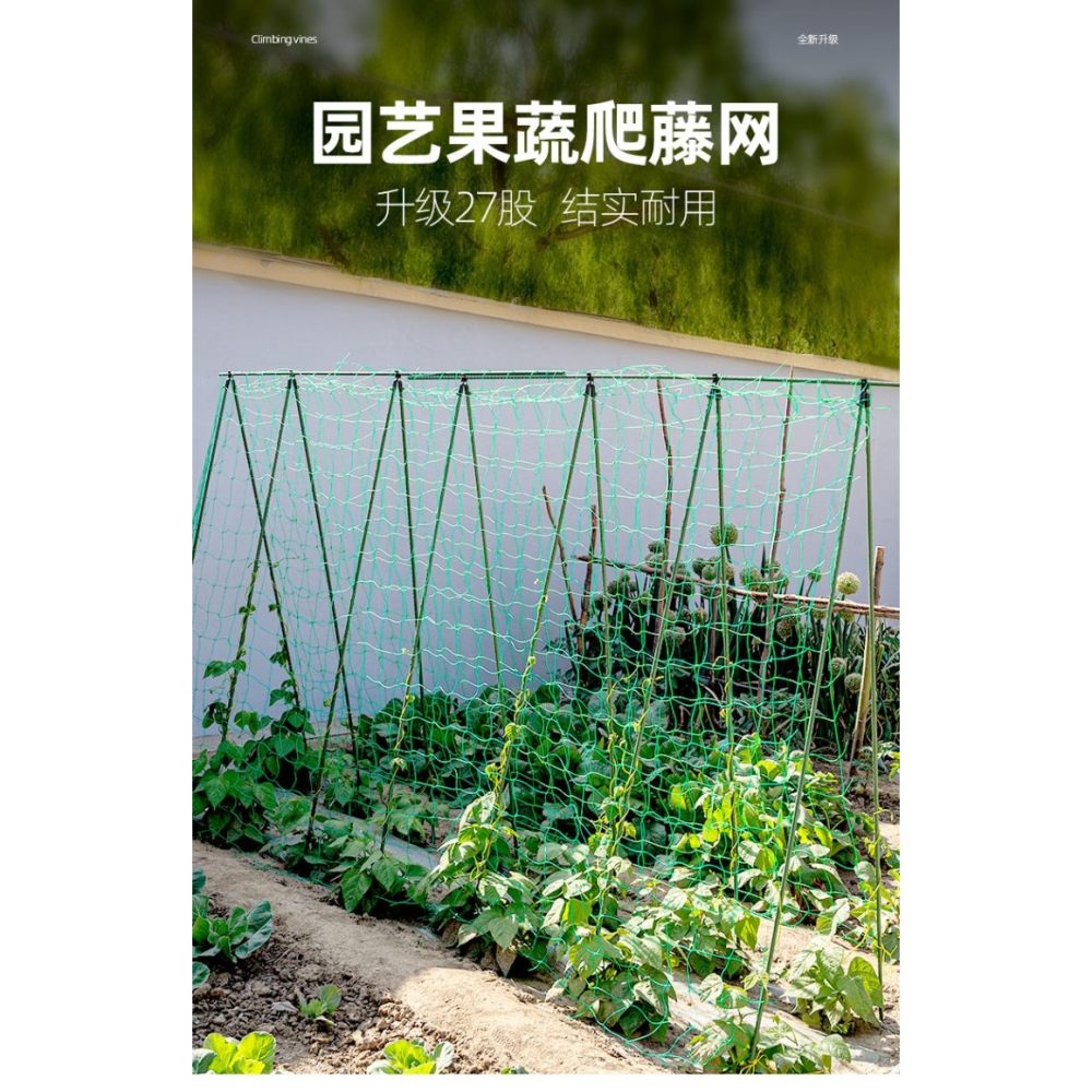 園藝植物爬藤網攀爬種植搭架絲瓜百香果豆角藤蔓花卉網農用葡萄棚-細節圖6