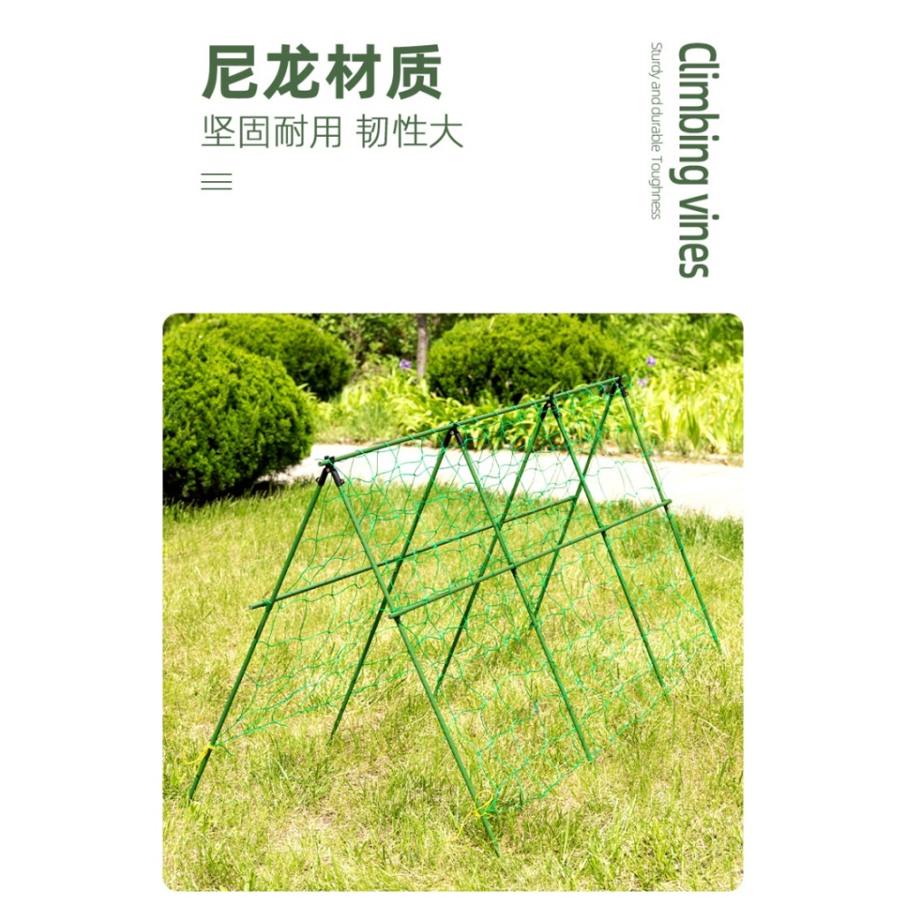園藝植物爬藤網攀爬種植搭架絲瓜百香果豆角藤蔓花卉網農用葡萄棚-細節圖7