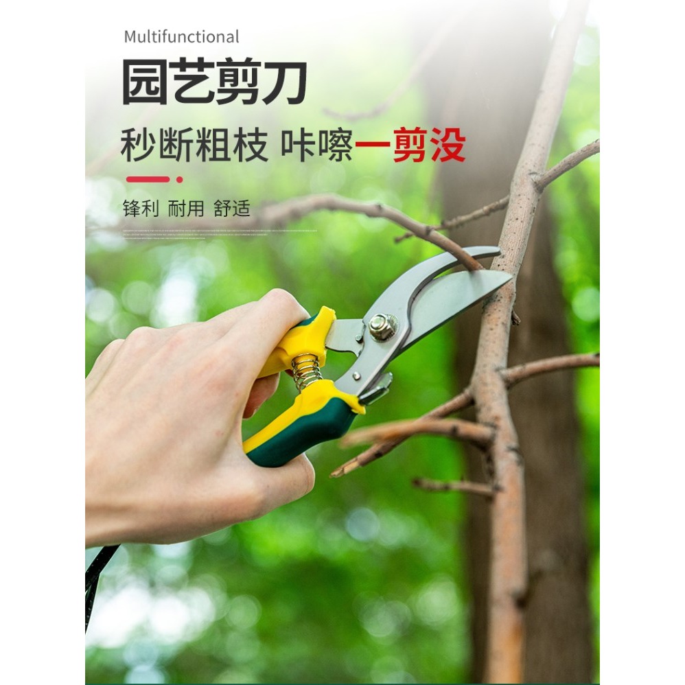 花藝剪刀修枝剪子園藝剪刀樹枝家用果樹摘果工具園林強力粗枝神器-細節圖6