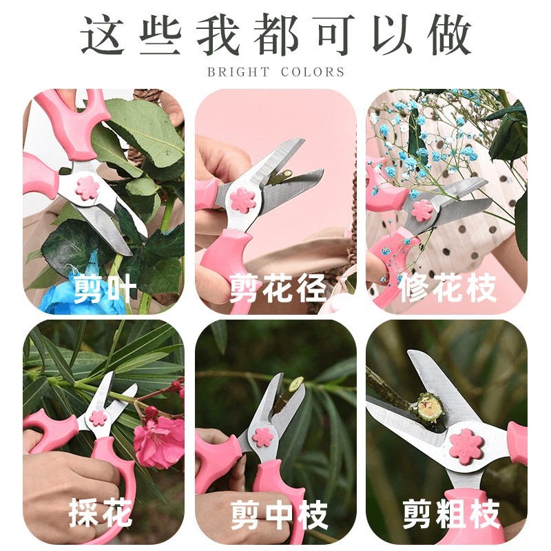 花剪園藝剪刀修枝剪家用植物剪刀剪樹枝剪子寬頭修枝工具園藝剪刀-細節圖2
