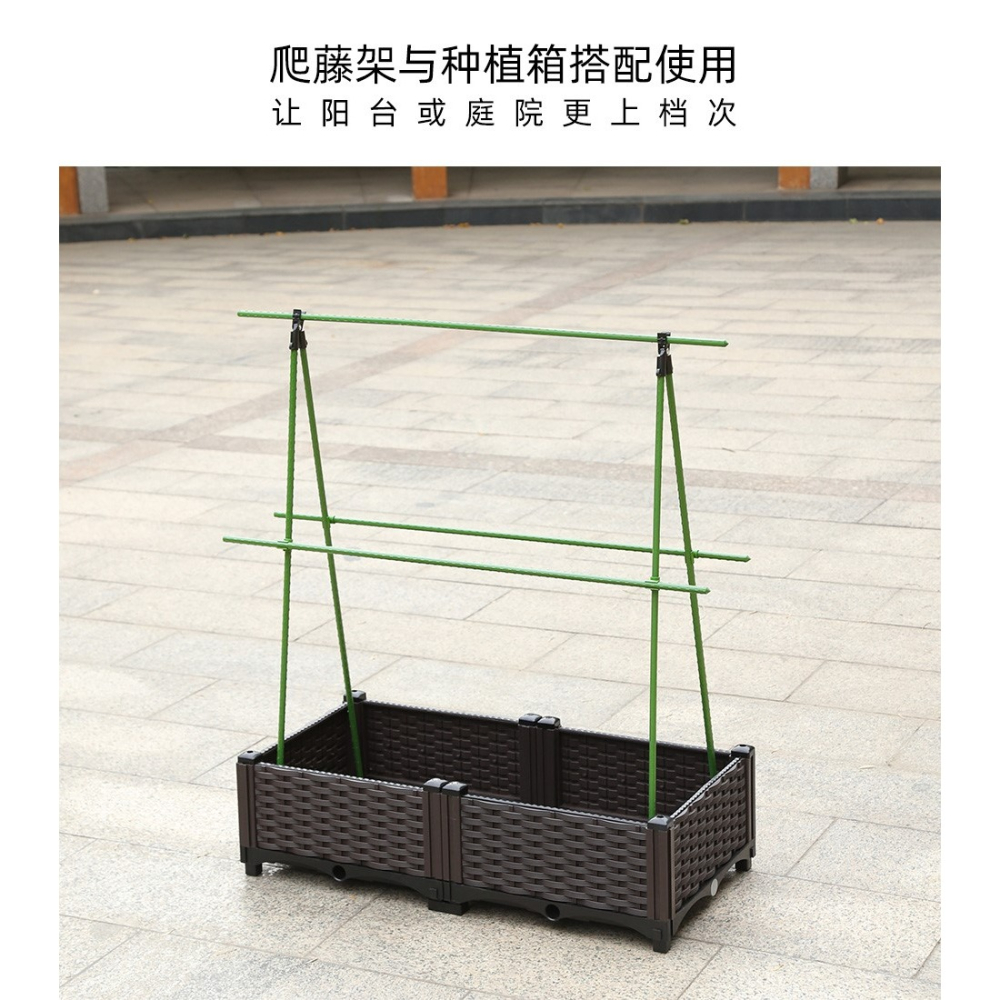 葡萄爬藤架黃瓜支架桿絲瓜西紅柿陽臺種菜戶外植物蔬菜庭院花架子-細節圖8