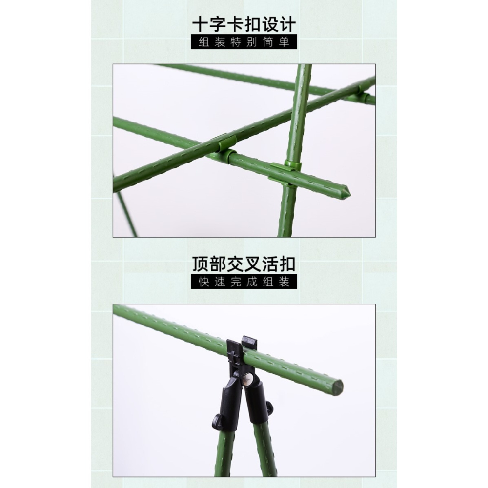 葡萄爬藤架黃瓜支架桿絲瓜西紅柿陽臺種菜戶外植物蔬菜庭院花架子-細節圖9