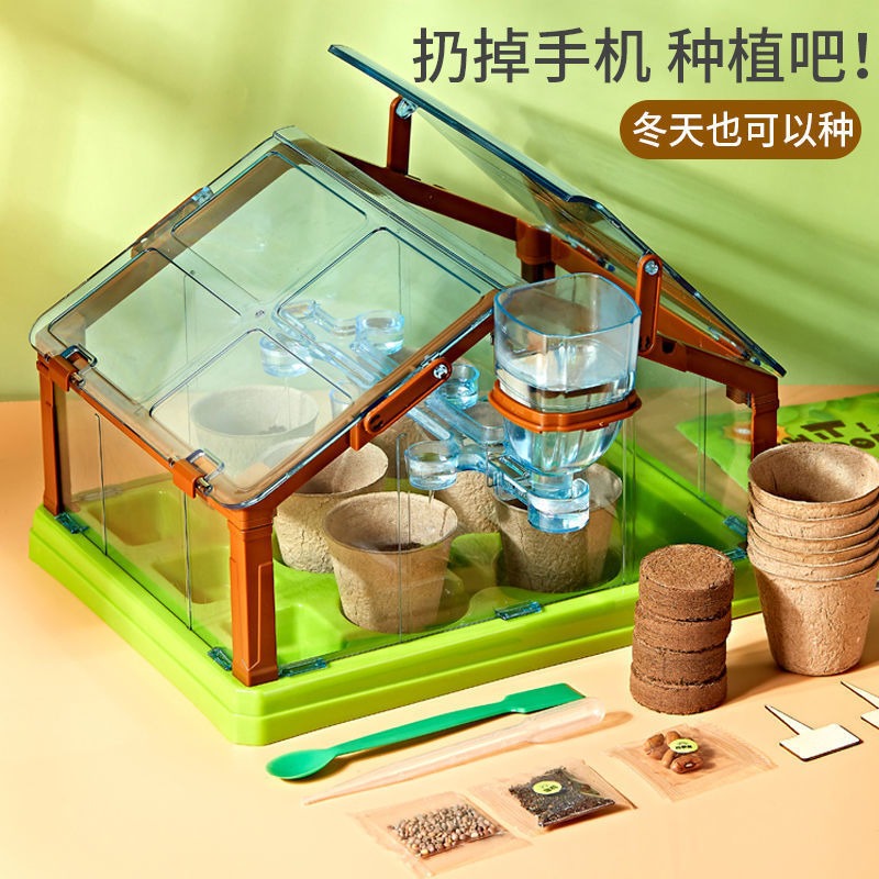 兒童種植陽光房玩具迷你小學生手工diy材料套裝觀察創意科學實驗-細節圖2