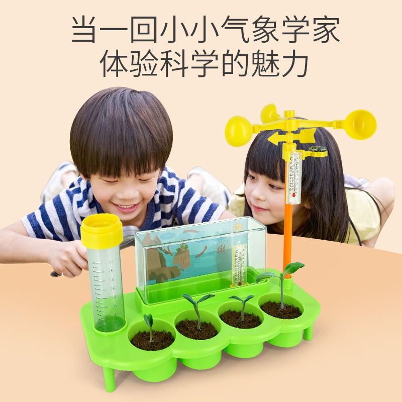 兒童種植陽光房玩具迷你小學生手工diy材料套裝觀察創意科學實驗-細節圖3