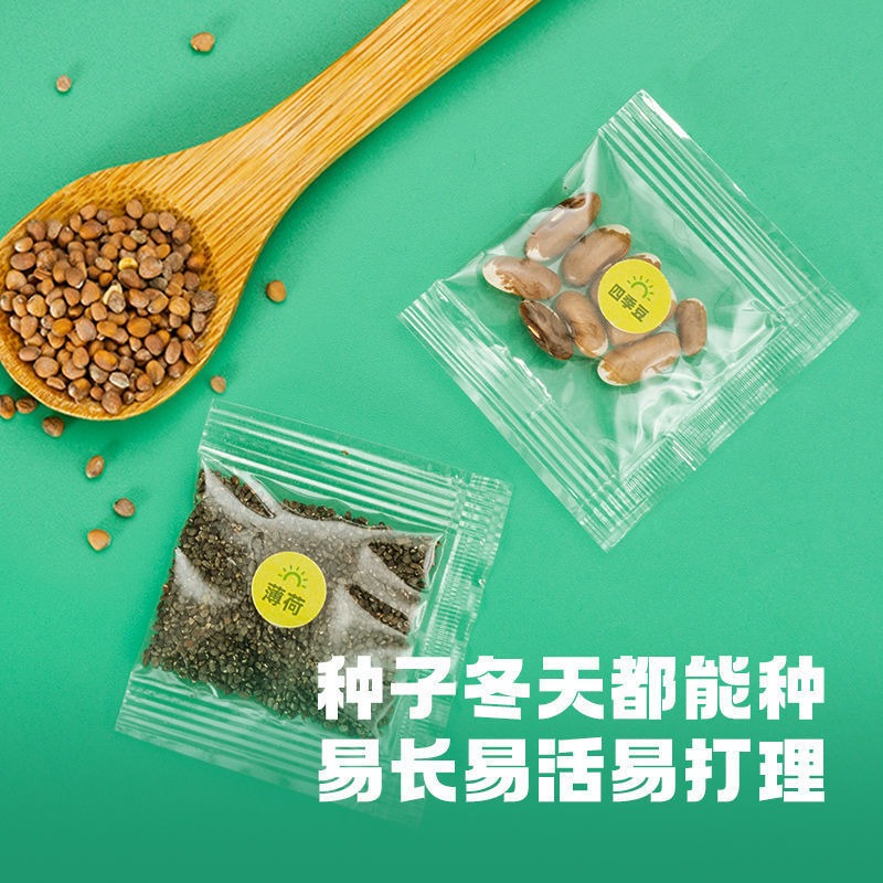 兒童種植陽光房玩具迷你小學生手工diy材料套裝觀察創意科學實驗-細節圖4