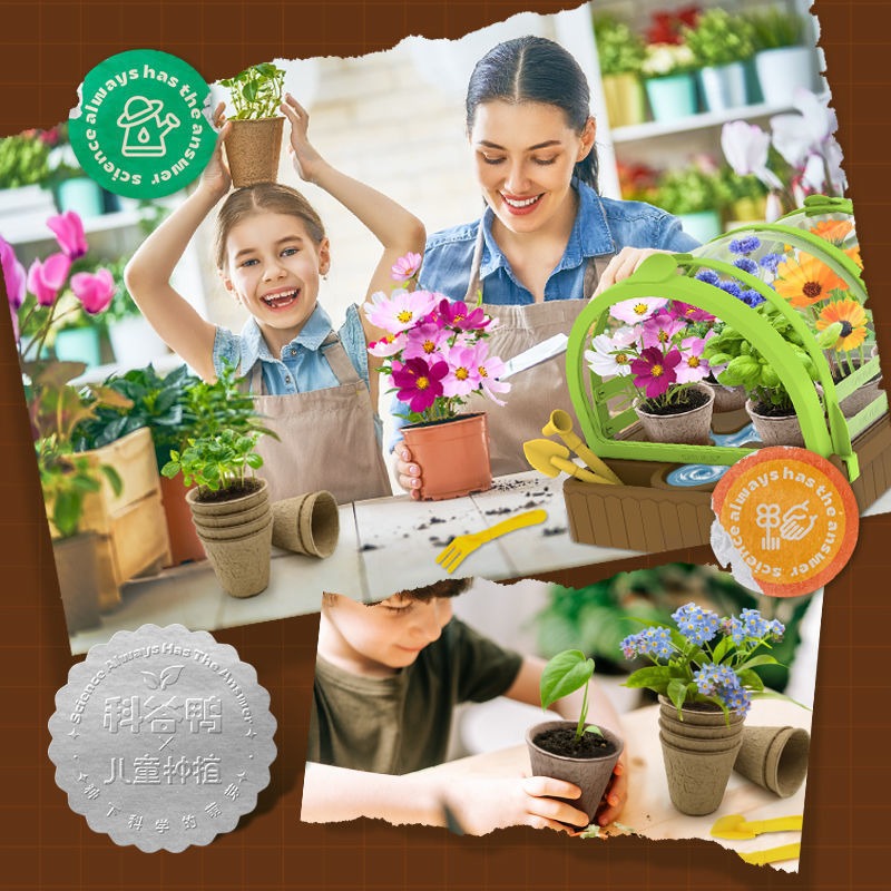 兒童種植陽光房玩具迷你小學生手工diy材料套裝觀察創意科學實驗-細節圖5