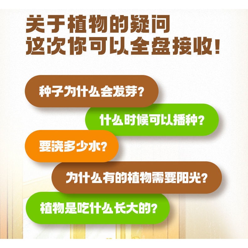 兒童種植陽光房玩具迷你小學生手工diy材料套裝觀察創意科學實驗-細節圖8