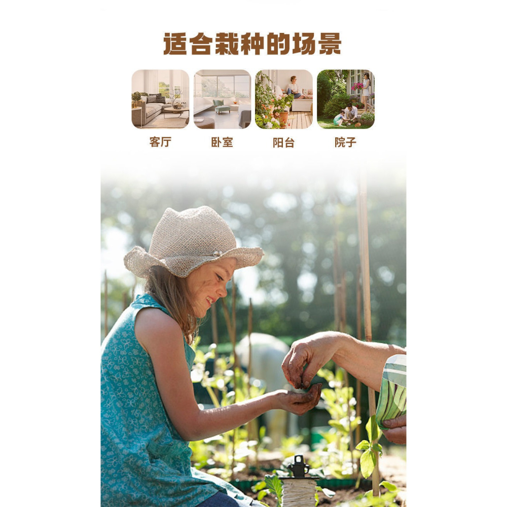 兒童種植陽光房玩具迷你小學生手工diy材料套裝觀察創意科學實驗-細節圖10