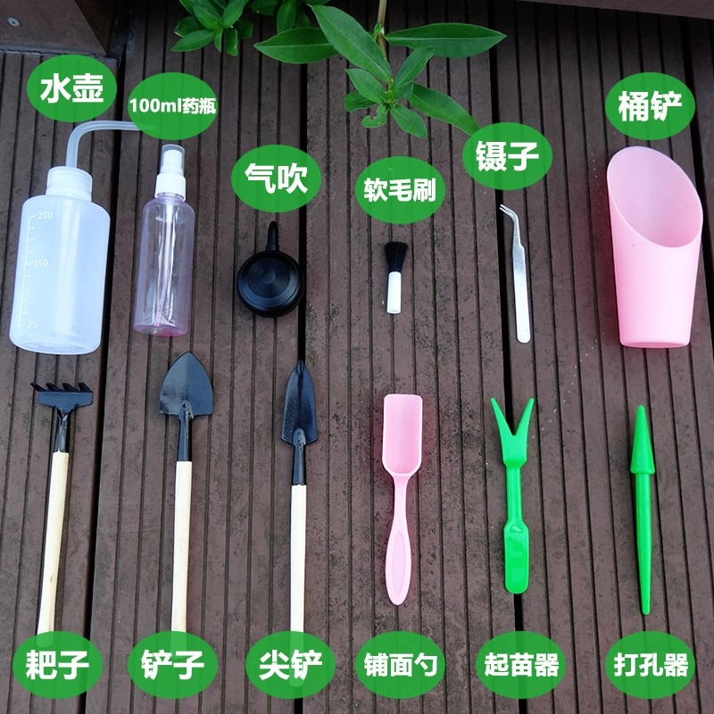 多肉種植工具套裝清倉鑷子迷你三件套氣吹新手家用包郵免運費-細節圖2