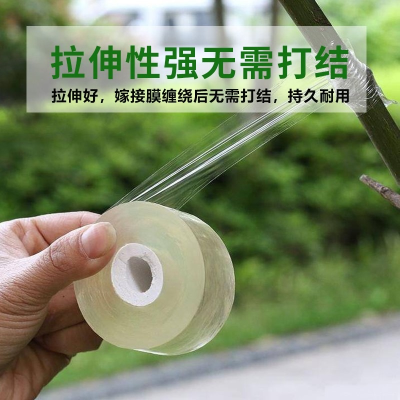嫁接膜果樹纏繞膜嫁接專用塑料薄膜自粘嫁接剪刀透明拉伸膜保溫膜-細節圖2