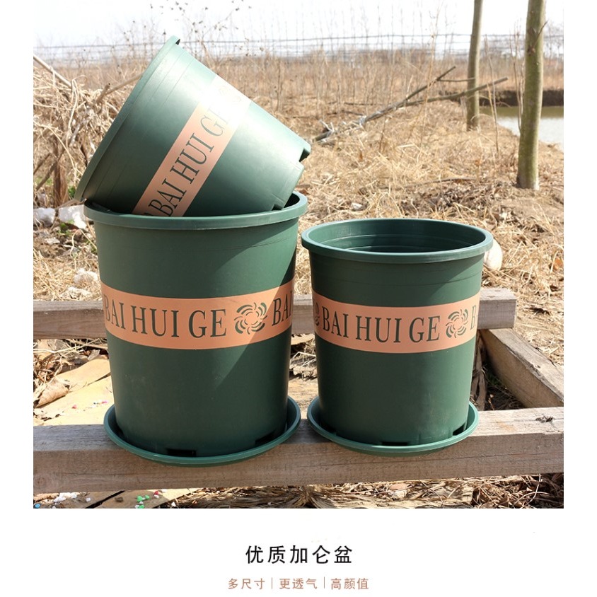 加侖盆加厚樹脂塑料花盆月季多肉綠蘿陽臺種花種菜園藝批發-細節圖6