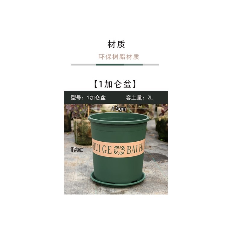 加侖盆加厚樹脂塑料花盆月季多肉綠蘿陽臺種花種菜園藝批發-細節圖9