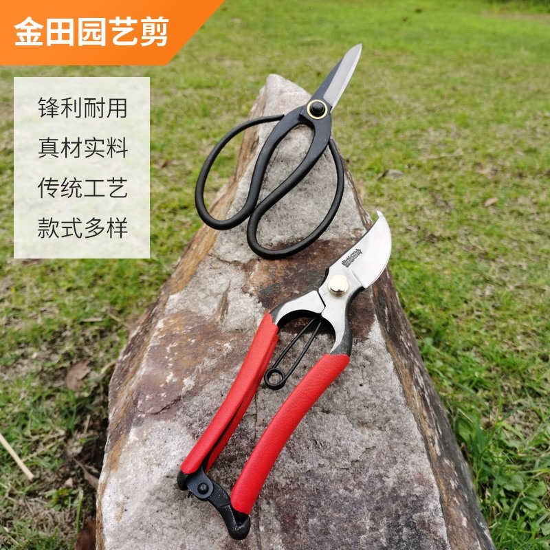 剪刀金田園藝剪刀修枝剪插花剪刀盆栽剪刀盆景剪刀工具剪枝剪刀-細節圖2