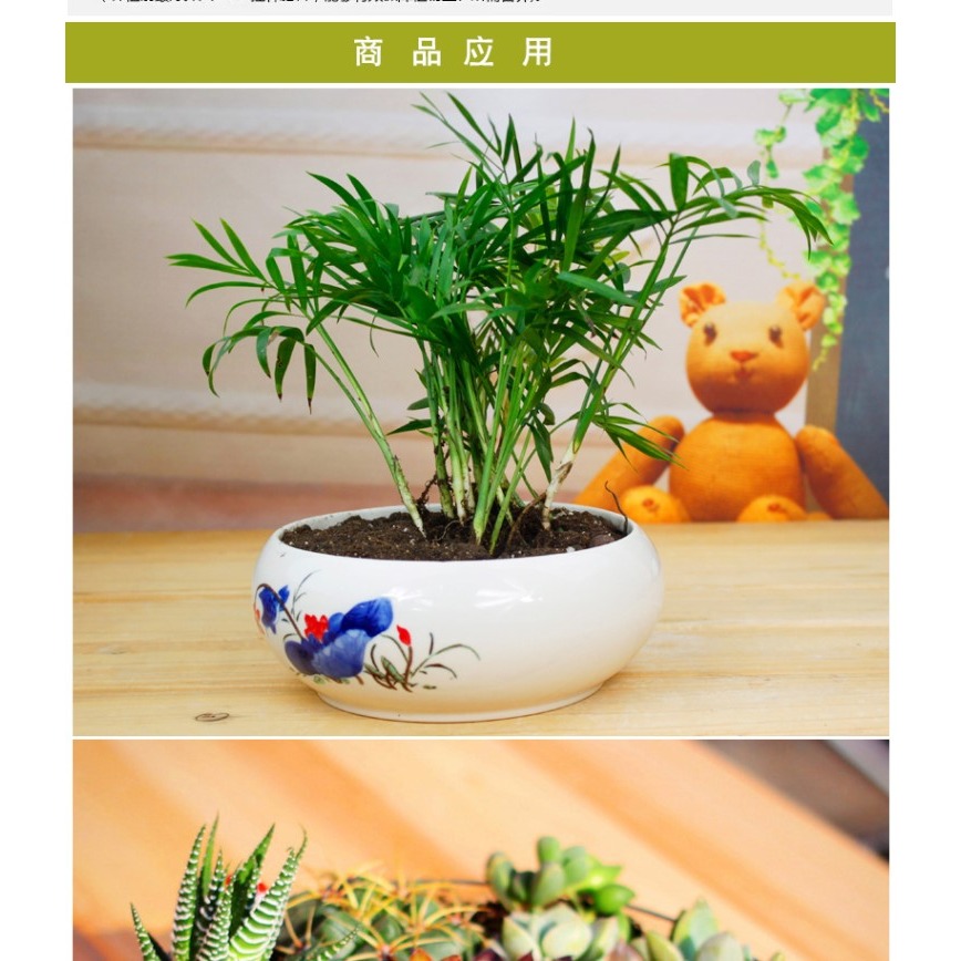 園藝綠植花卉種植陽臺菜多肉植物通用營養土3袋裝T148-細節圖8