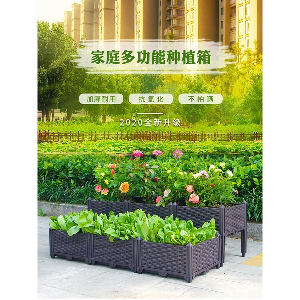 陽臺種菜神器種植箱蔬菜養花盆栽種菜家庭陽臺塑料花盆樓頂菜園箱-細節圖4