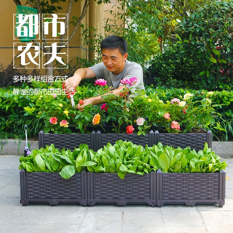 陽臺種菜神器種植箱蔬菜養花盆栽種菜家庭塑料花盆樓頂菜園箱一形-細節圖3