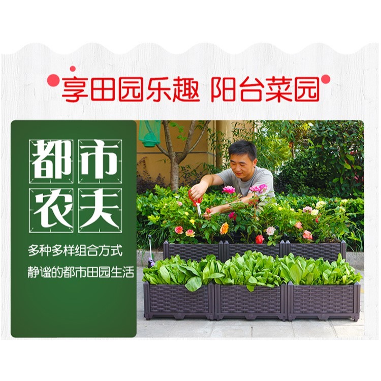 陽臺種菜神器種植箱蔬菜養花盆栽種菜家庭塑料花盆樓頂菜園箱一形-細節圖9