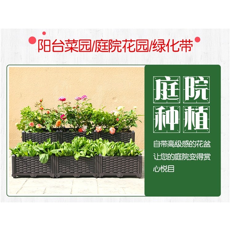 陽臺種菜神器種植箱蔬菜養花盆栽種菜家庭塑料花盆樓頂菜園箱一形-細節圖10