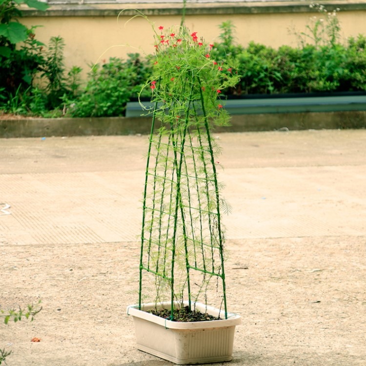 陽臺植物爬藤花架喇叭花鐵線蓮造景屏風盆栽牽牛花攀爬網格架子-細節圖6