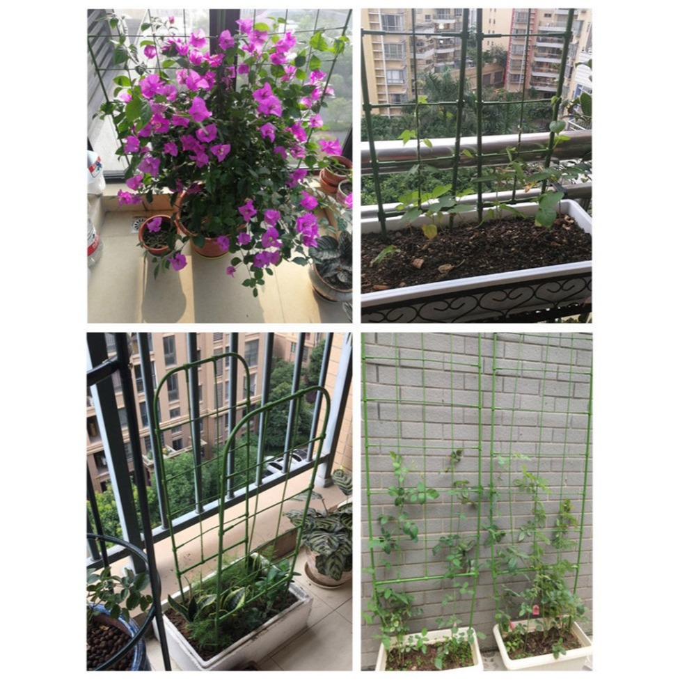 陽臺植物爬藤花架喇叭花鐵線蓮造景屏風盆栽牽牛花攀爬網格架子-細節圖7