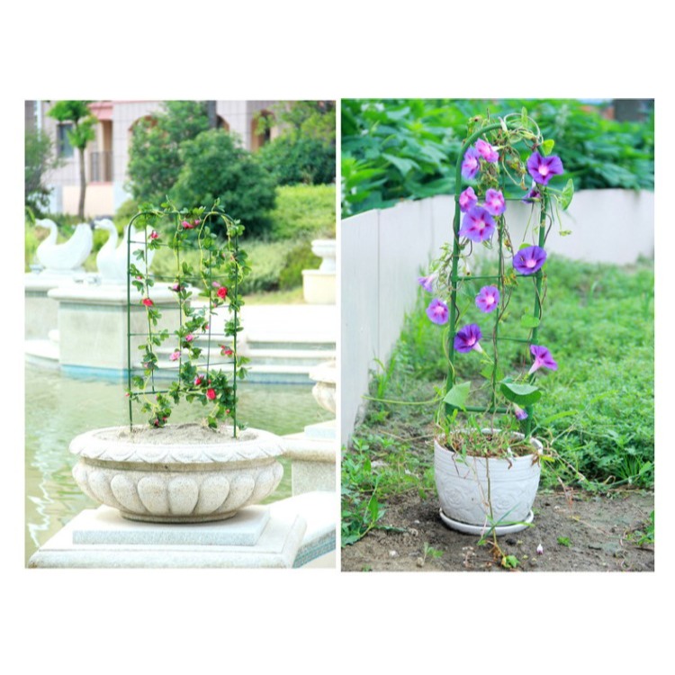 陽臺植物爬藤花架喇叭花鐵線蓮造景屏風盆栽牽牛花攀爬網格架子-細節圖8