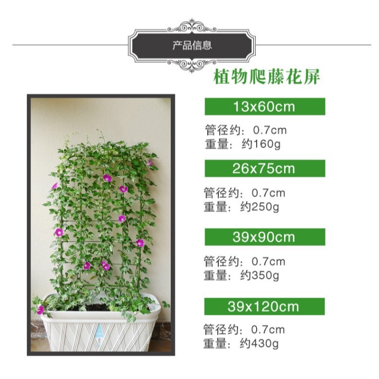 陽臺植物爬藤花架喇叭花鐵線蓮造景屏風盆栽牽牛花攀爬網格架子-細節圖9