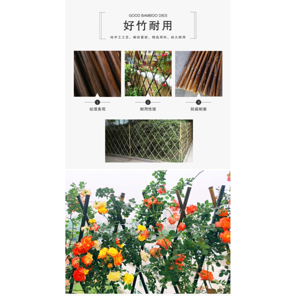 戶外庭院碳化紫竹柵欄月季植物爬藤竹子花園竹竿陽臺伸縮竹條籬笆-細節圖6