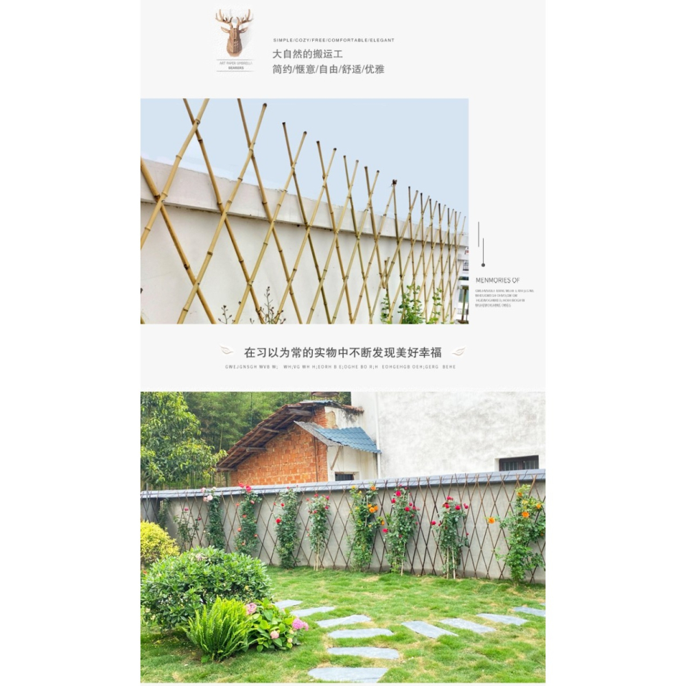 戶外庭院碳化紫竹柵欄月季植物爬藤竹子花園竹竿陽臺伸縮竹條籬笆-細節圖8