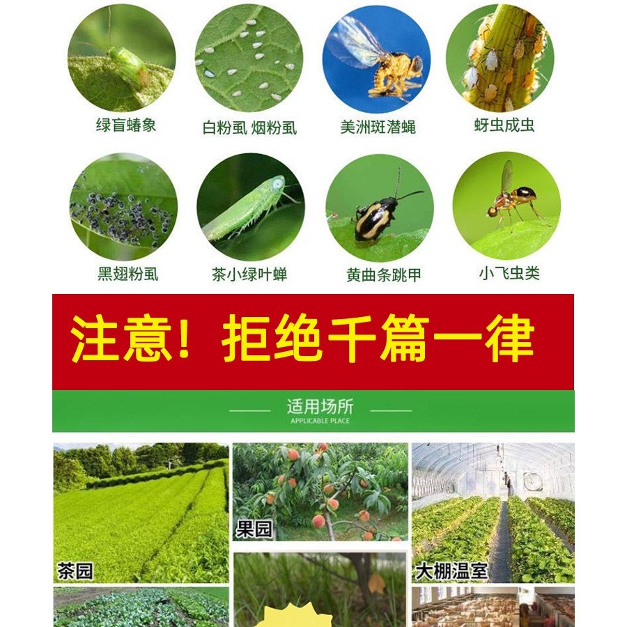 粘蟲板黃板雙面誘蟲板紙貼黃色滅小飛蟲沾果蠅誘捕器粘板果園大棚-細節圖4