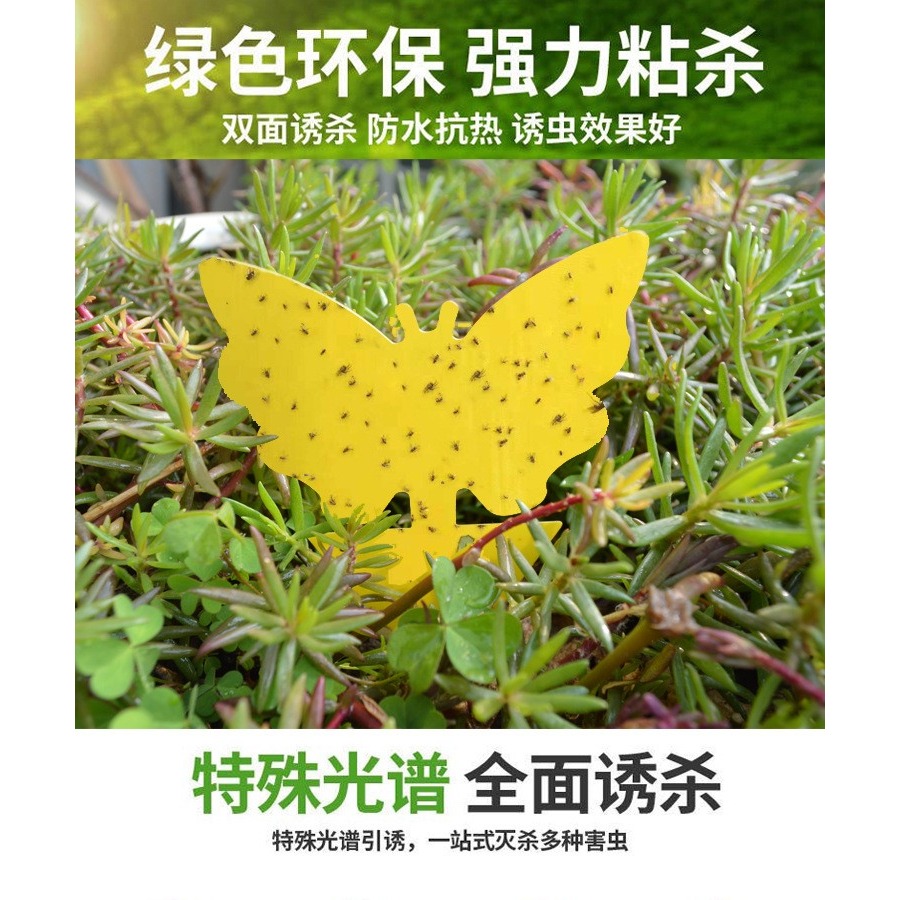 粘蟲板黃板雙面誘蟲板紙貼黃色滅小飛蟲沾果蠅誘捕器粘板果園大棚-細節圖9