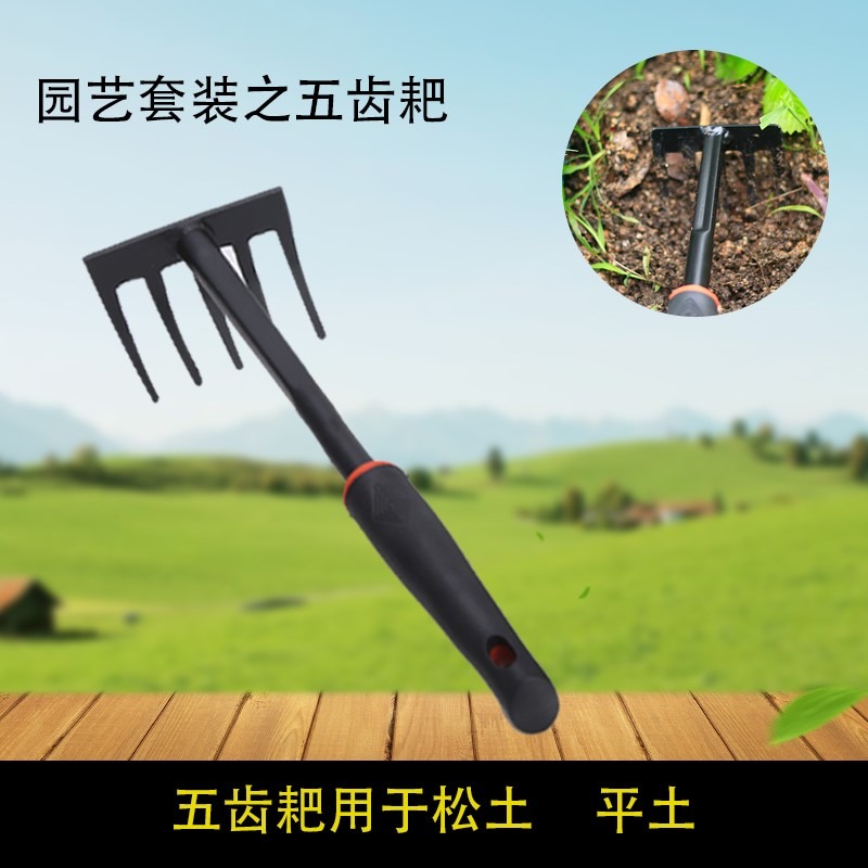 鐵鍬農用鋤頭小鐵鏟小鏟子戶外挖土園藝工具家用種花工具趕海神器-細節圖4