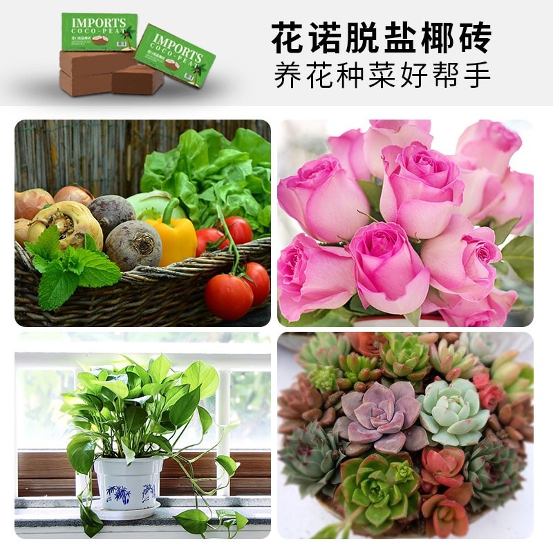 椰磚營養土通用型椰糠清倉包郵特價批發養花種菜土種植土大塊椰磚-細節圖4