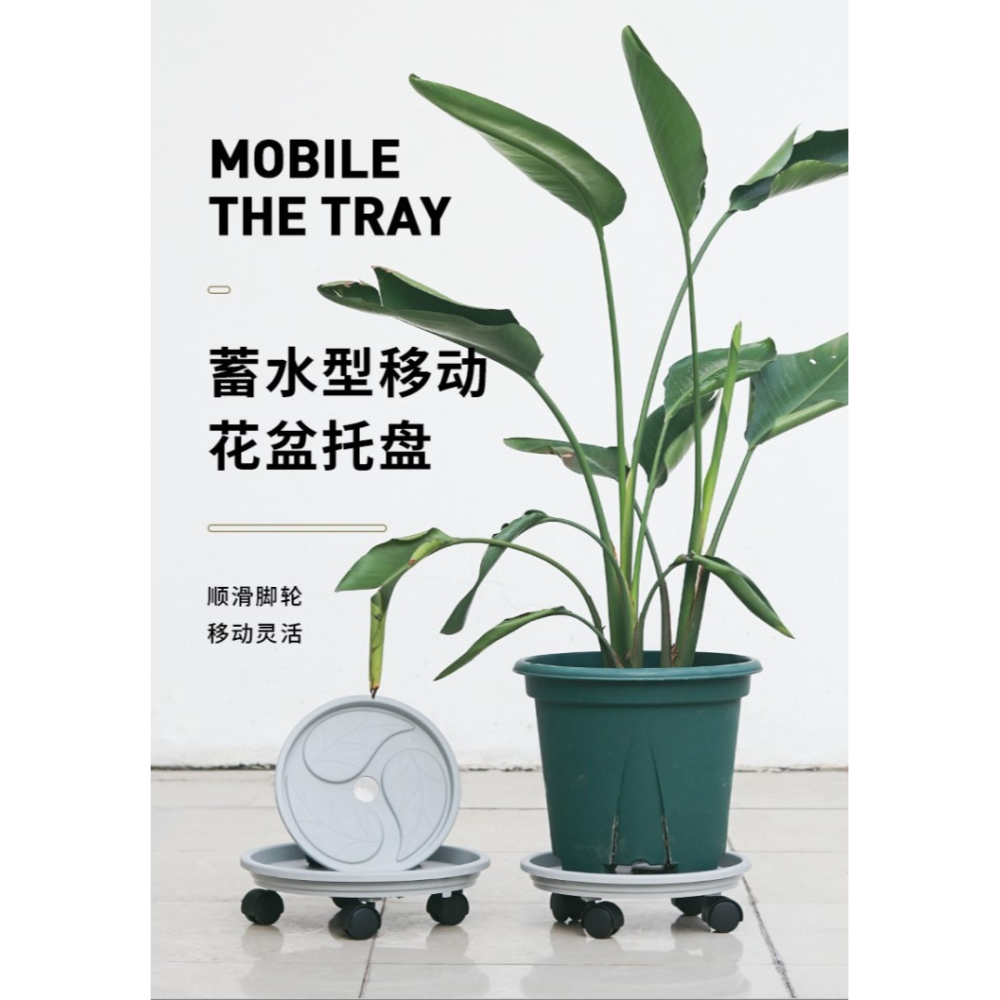 帶輪花盆移動託盤萬向輪底座花盆墊家用加厚塑料花托圓形盆栽託盤-細節圖6