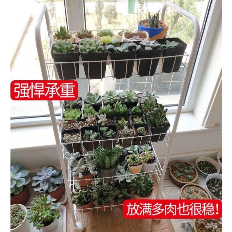 碗櫥櫃不銹鋼多層小推車置物架北歐ins帶輪子移動廚房兩層蔬菜架-細節圖4