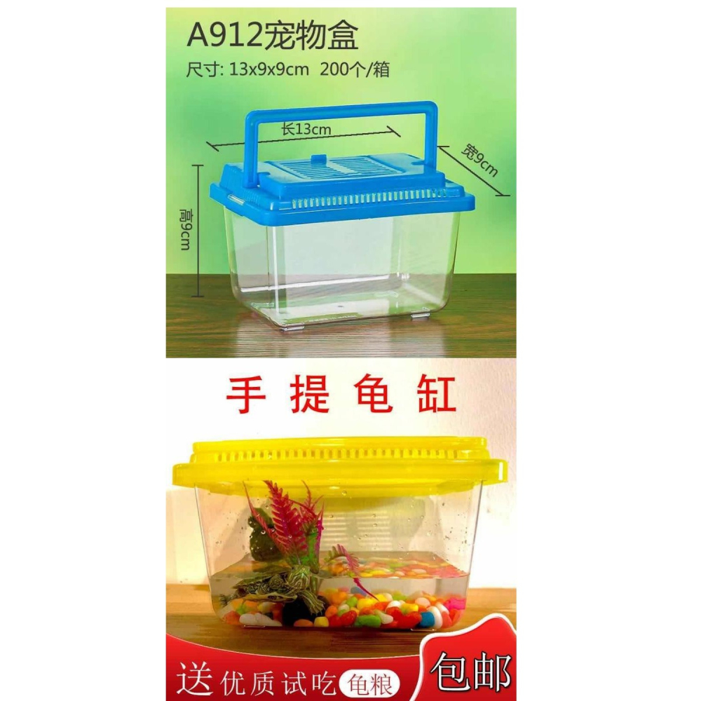 新款巴西龜活物彩色小烏龜中華草龜孩童玩伴送七彩石頭粉色手提缸-細節圖5