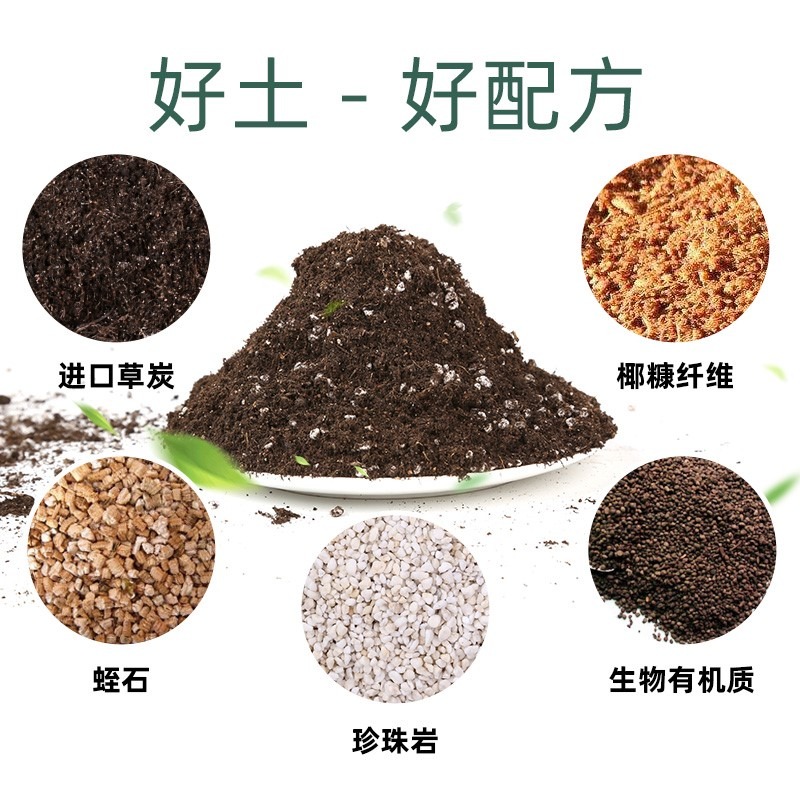 多肉營養土種菜養花通用型種植花土壤透氣種花泥土家用珍珠巖韭菜-細節圖4