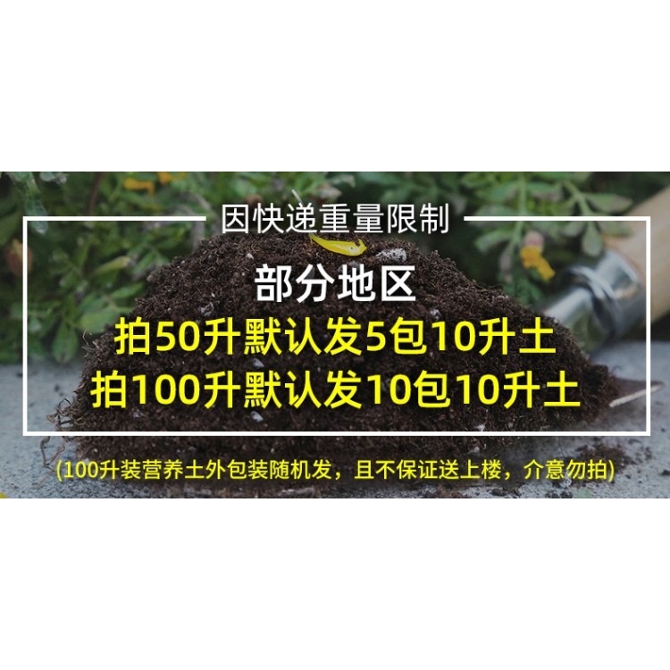 多肉營養土種菜養花通用型種植花土壤透氣種花泥土家用珍珠巖韭菜-細節圖6