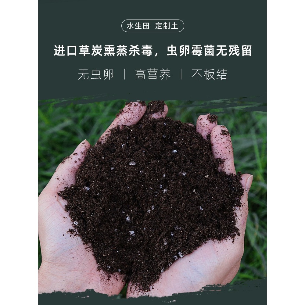 多肉營養土種菜養花通用型種植花土壤透氣種花泥土家用珍珠巖韭菜-細節圖8