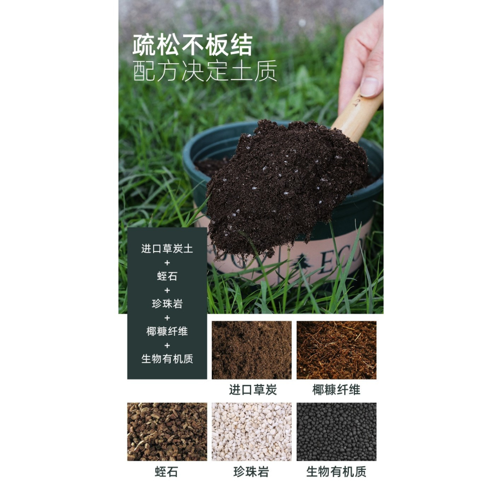 多肉營養土種菜養花通用型種植花土壤透氣種花泥土家用珍珠巖韭菜-細節圖9