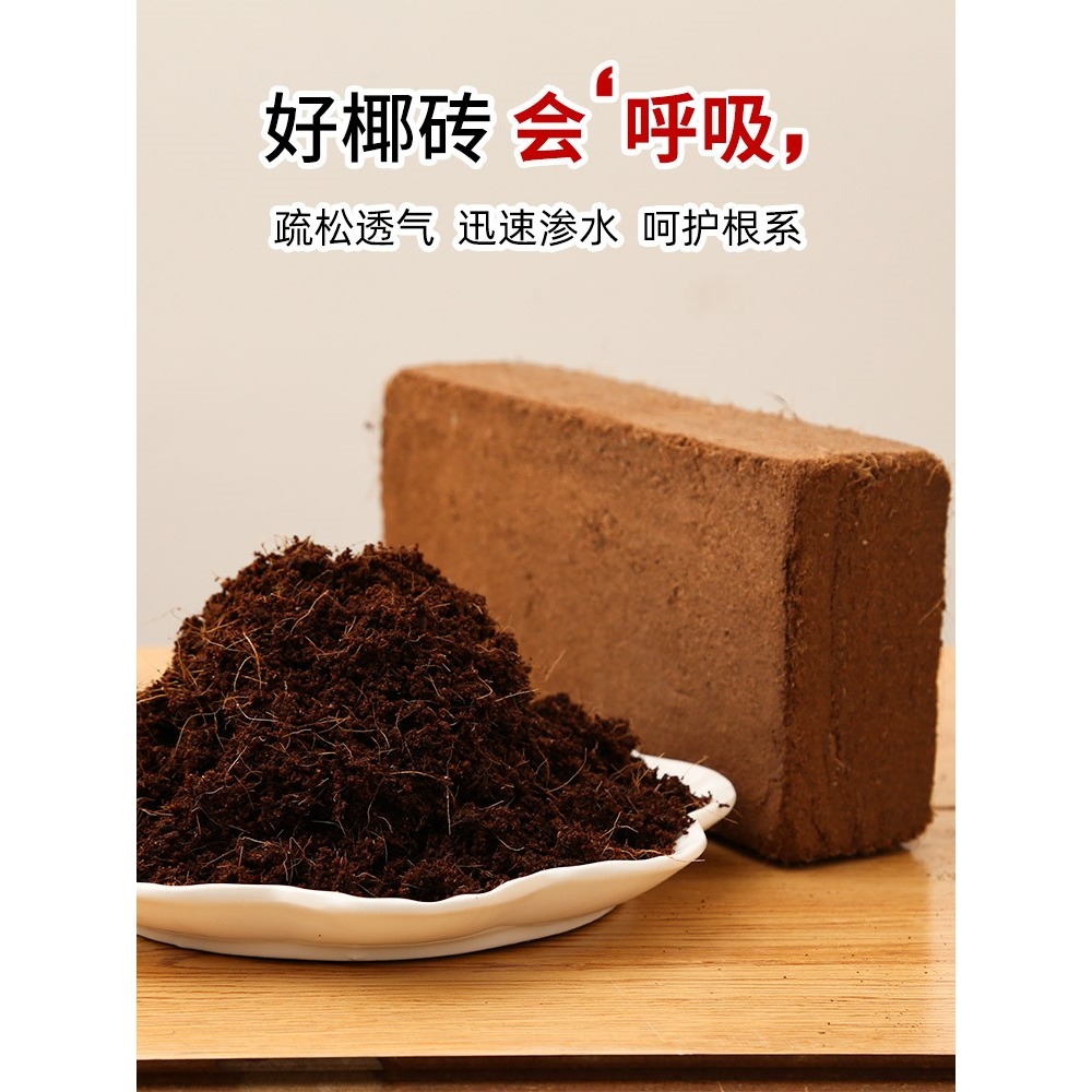 椰磚營養土養花陽臺種菜脫鹽種植椰殼通用型土壤大塊耶磚椰糠清倉-細節圖5