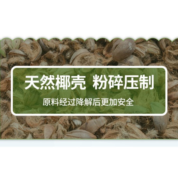 椰磚營養土養花陽臺種菜脫鹽種植椰殼通用型土壤大塊耶磚椰糠清倉-細節圖9