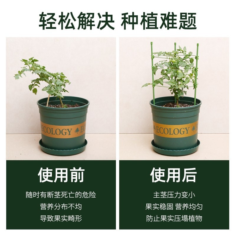 園藝爬藤架子家用花支架室內月季花綠蘿植物鐵線蓮攀爬黃瓜西紅柿-細節圖2