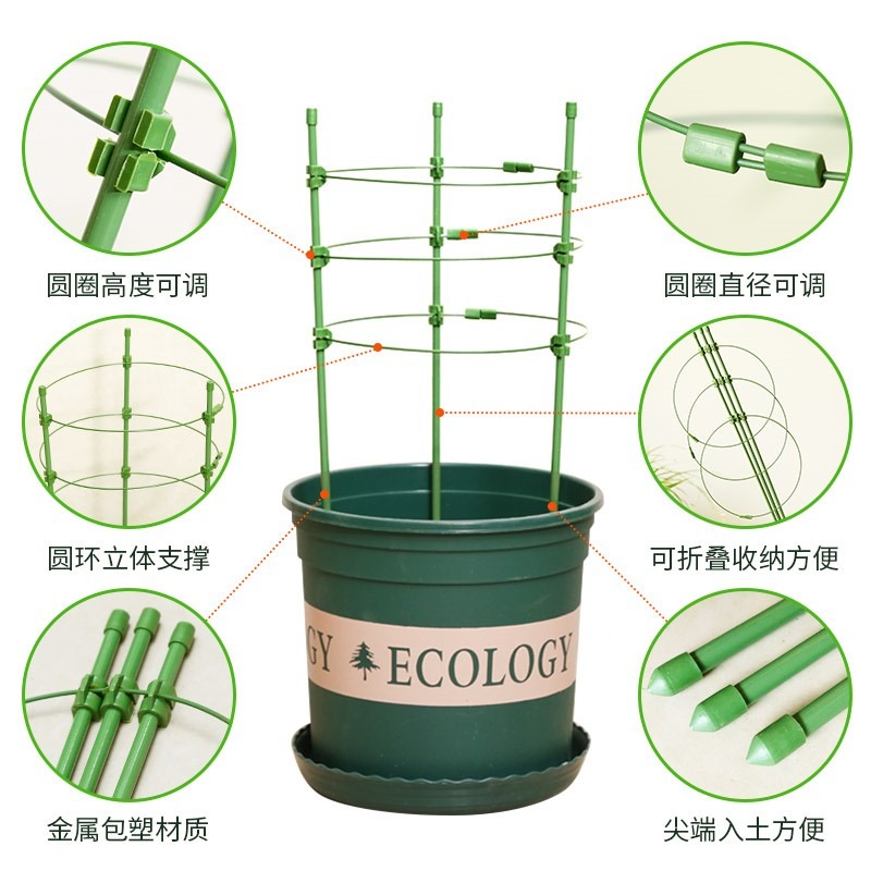 園藝爬藤架子家用花支架室內月季花綠蘿植物鐵線蓮攀爬黃瓜西紅柿-細節圖4