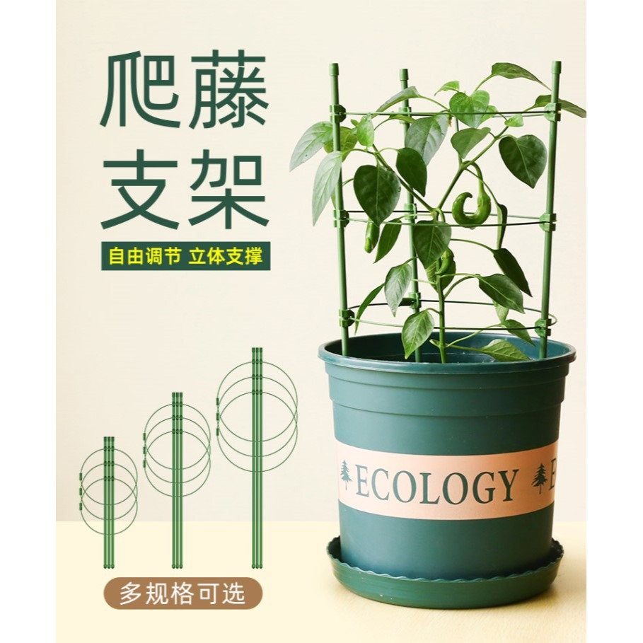 園藝爬藤架子家用花支架室內月季花綠蘿植物鐵線蓮攀爬黃瓜西紅柿-細節圖6