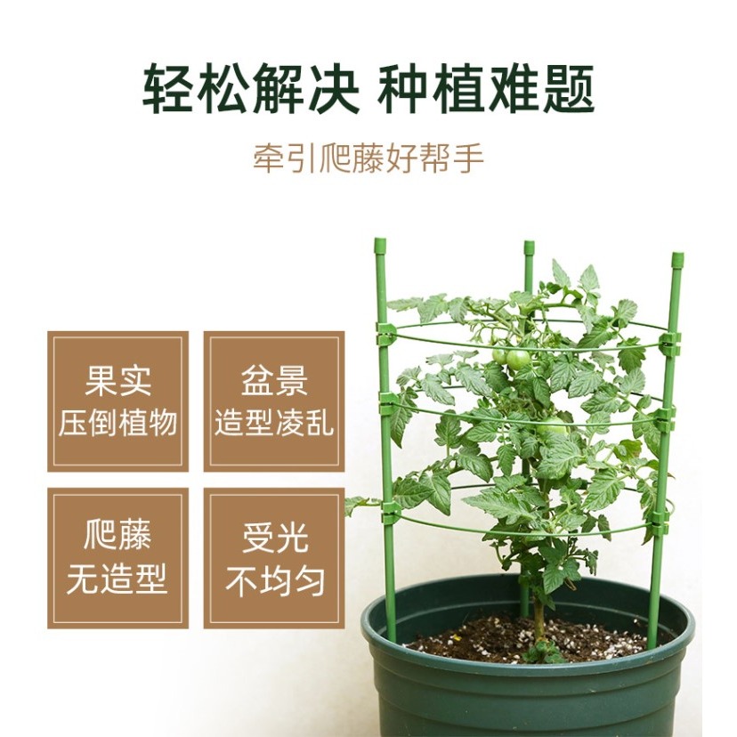 園藝爬藤架子家用花支架室內月季花綠蘿植物鐵線蓮攀爬黃瓜西紅柿-細節圖7