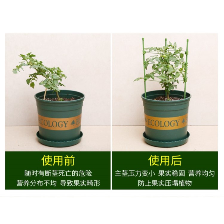 園藝爬藤架子家用花支架室內月季花綠蘿植物鐵線蓮攀爬黃瓜西紅柿-細節圖8