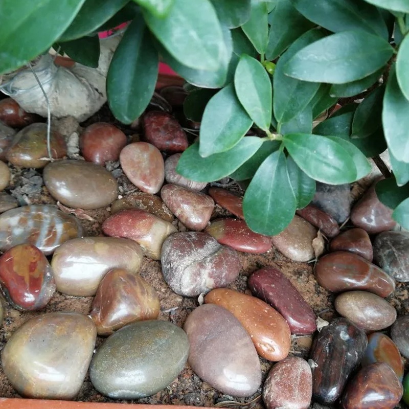 鵝卵石南京天然小石子魚缸造景花盆裝飾盆栽園藝彩石頭繪畫-細節圖3
